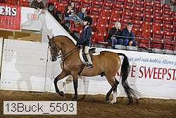 13buck_5503 proof