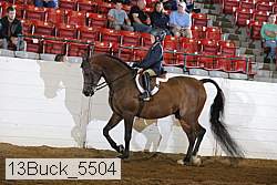 13buck_5504 proof