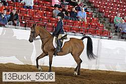13buck_5506 proof