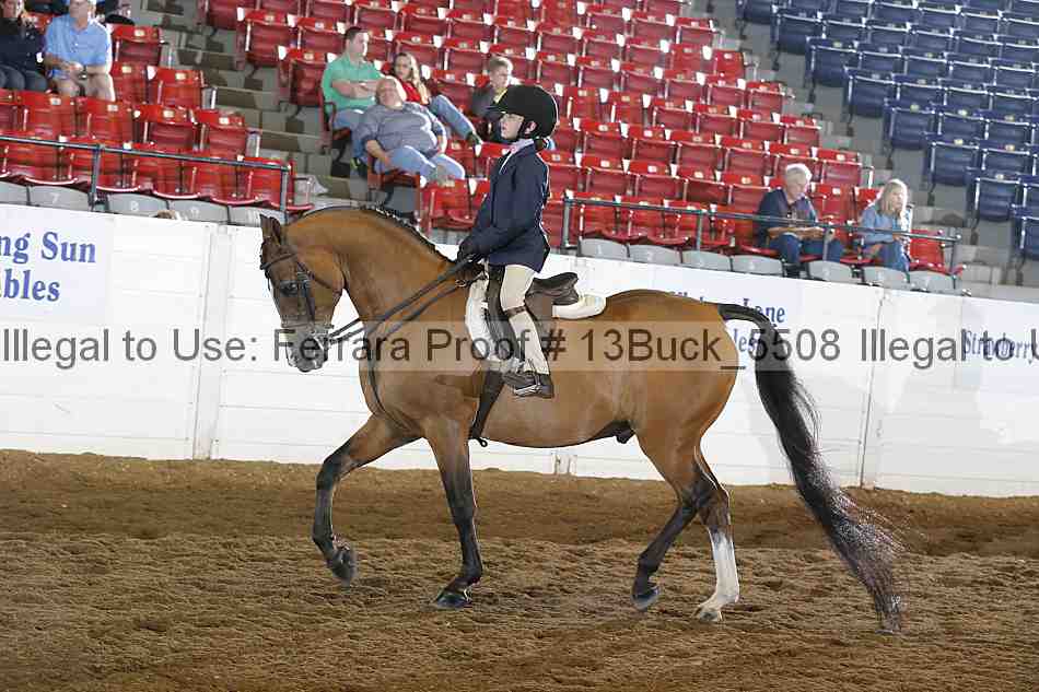 Proof 13buck_5508