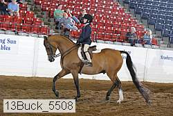 13buck_5508 proof