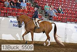 13buck_5509 proof