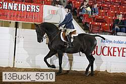13buck_5510 proof