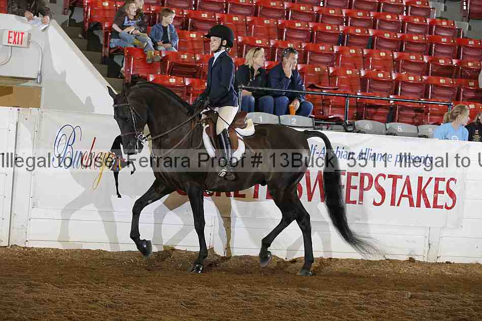 Proof 13buck_5511