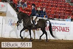 13buck_5511 proof