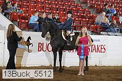13buck_5512 proof