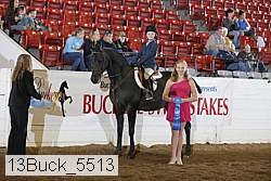 13buck_5513 proof