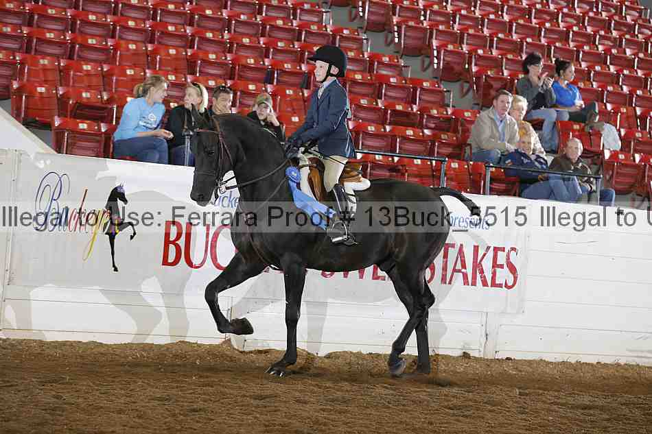Proof 13buck_5515