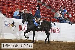 13buck_5515 proof
