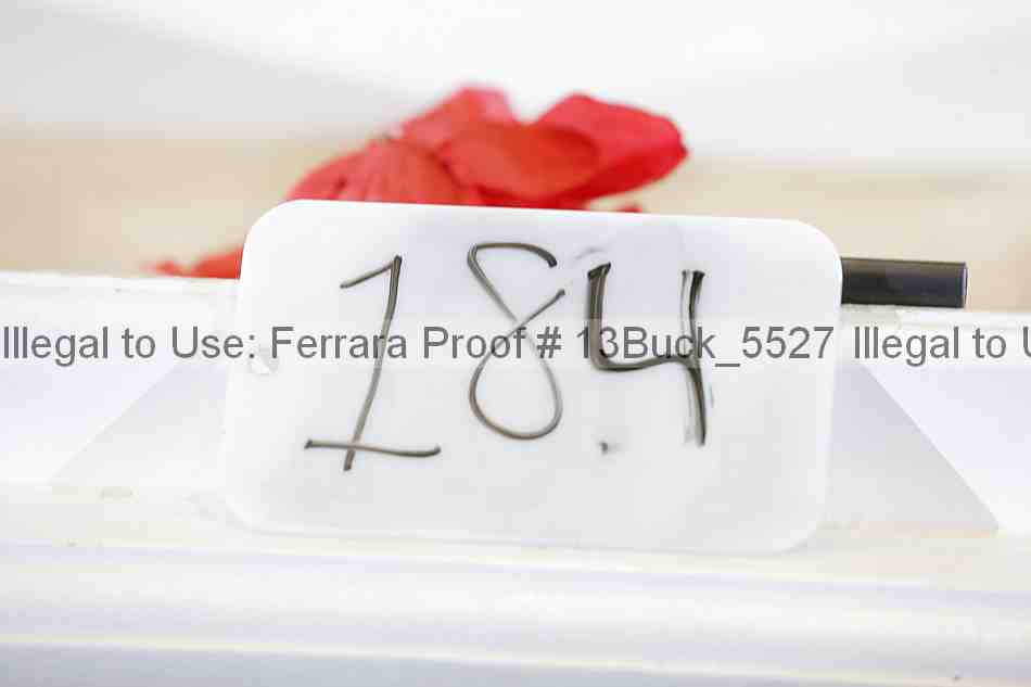Proof 13buck_5527
