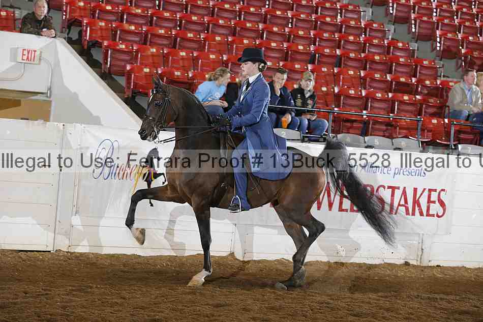 Proof 13buck_5528
