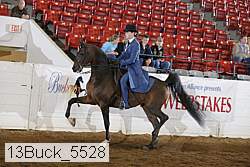 13buck_5528 proof
