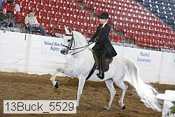 13buck_5529 proof