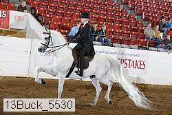 13buck_5530 proof