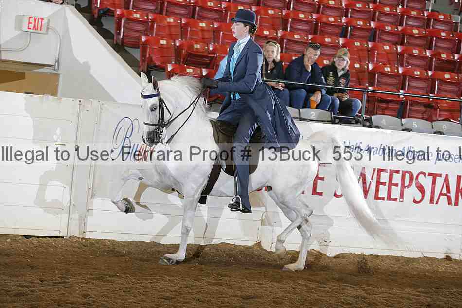 Proof 13buck_5531