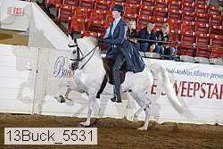 13buck_5531 proof