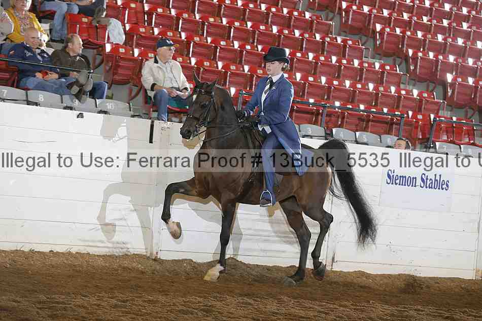 Proof 13buck_5535