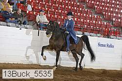 13buck_5535 proof