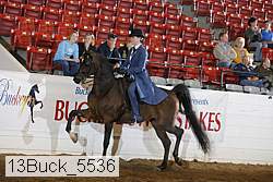 13buck_5536 proof