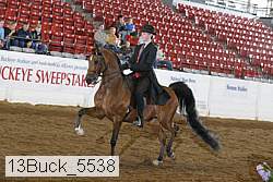 13buck_5538 proof