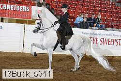 13buck_5541 proof