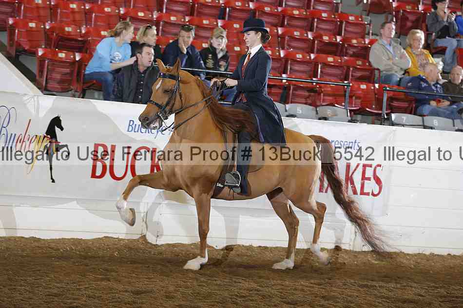Proof 13buck_5542