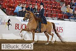 13buck_5542 proof