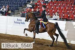 13buck_5546 proof