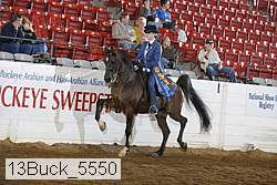13buck_5550 proof