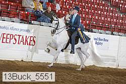 13buck_5551 proof