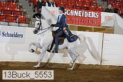 13buck_5553 proof