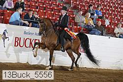 13buck_5556 proof