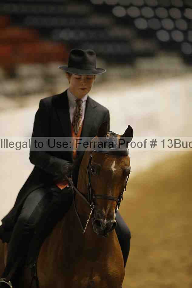 Proof 13buck_5558