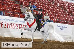 13buck_5559 proof