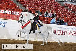 13buck_5560 proof