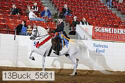 13buck_5561 proof