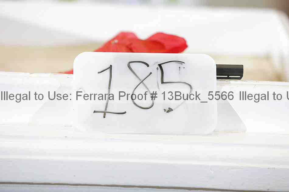 Proof 13buck_5566