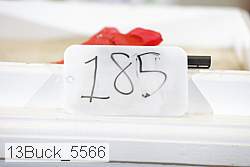 13buck_5566 proof