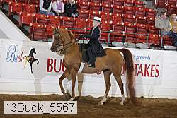 13buck_5567 proof