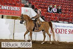 13buck_5568 proof