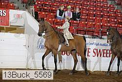 13buck_5569 proof