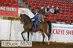 13buck_5570 proof