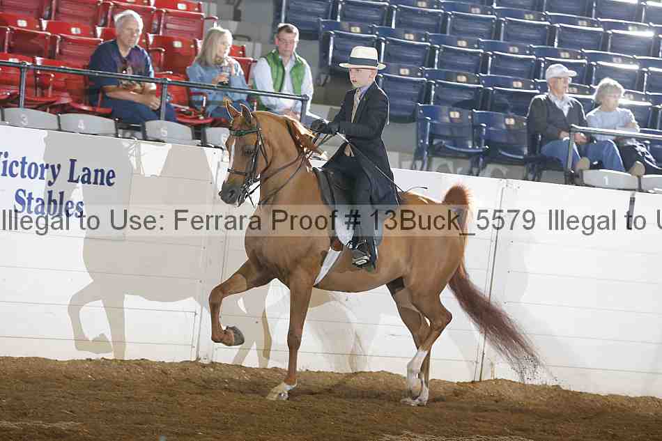 Proof 13buck_5579