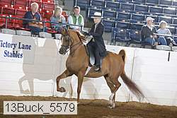 13buck_5579 proof