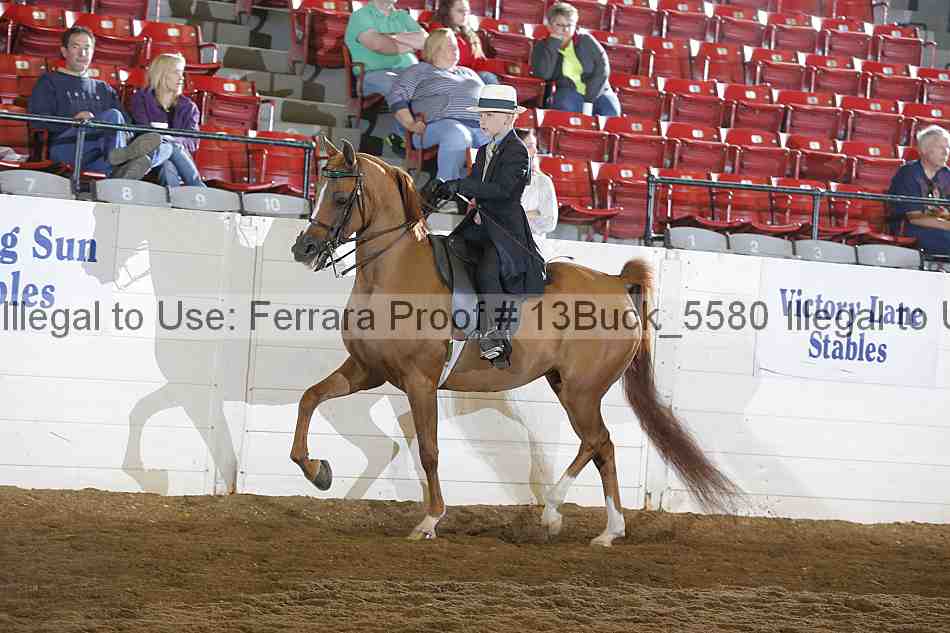Proof 13buck_5580