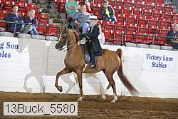 13buck_5580 proof