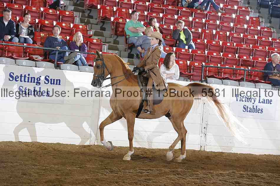 Proof 13buck_5581