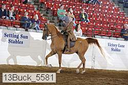 13buck_5581 proof
