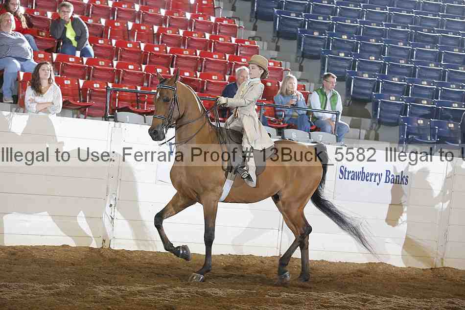 Proof 13buck_5582