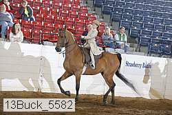 13buck_5582 proof